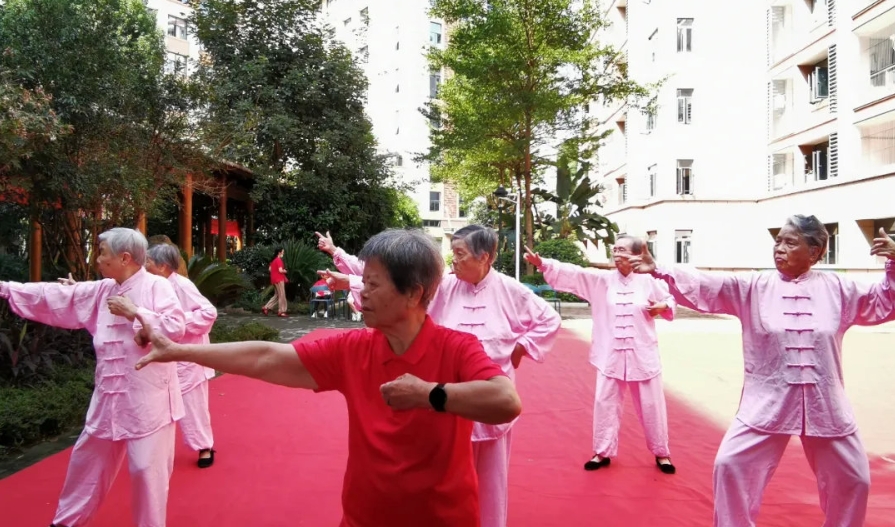 养老工会活动 | 八段锦与扇子舞，传承文化，舞动健康