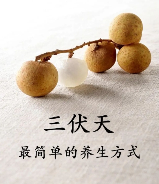 三伏天养生指南