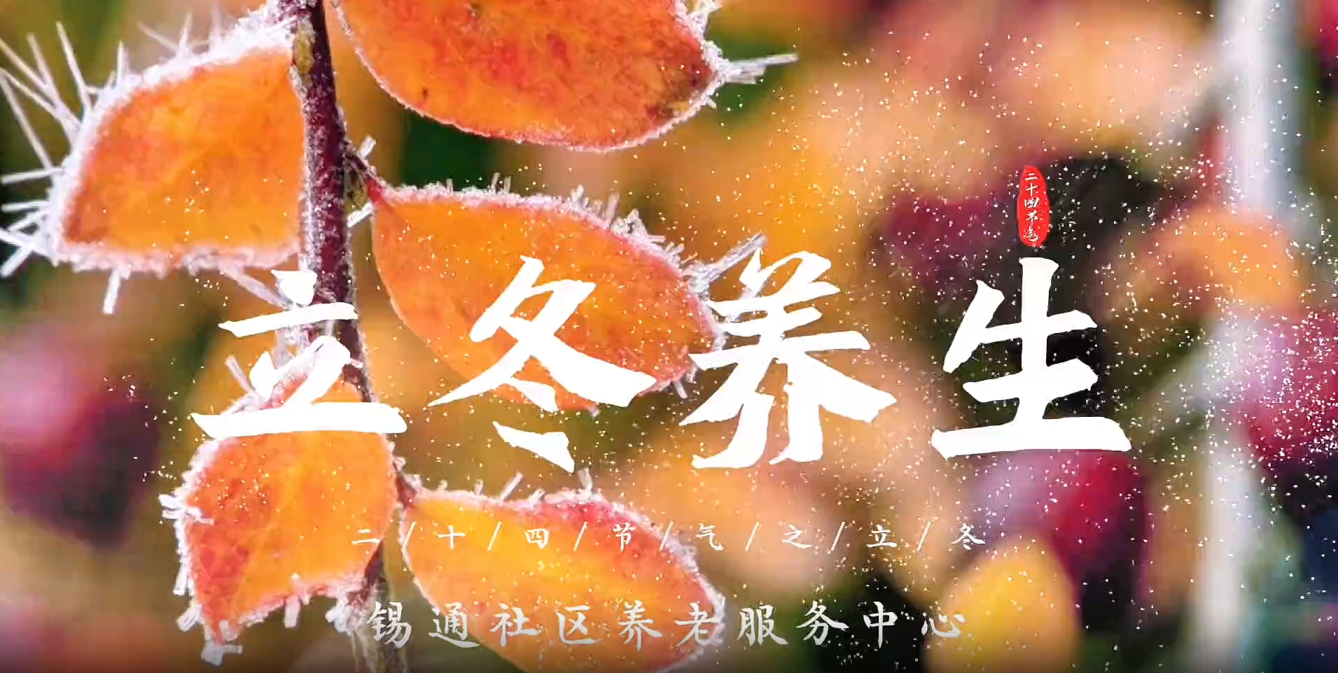 康养 | 立冬养生讲座